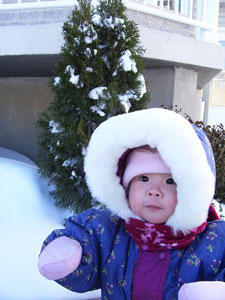 Danika Shan Ying, 15 months old, navigates the deep snow of Montreal, Canada, in this January 2009 photo.
